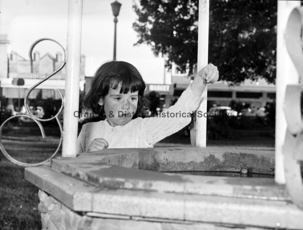 Rhonda Warrender