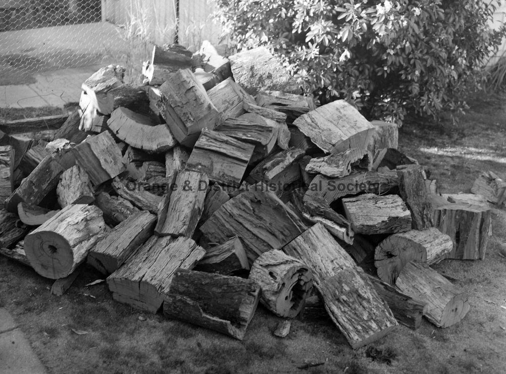 Mystery load of firewood