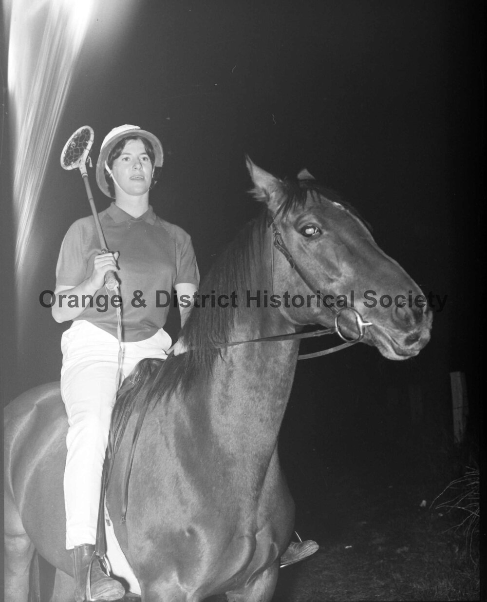 Miss Sally Dryland