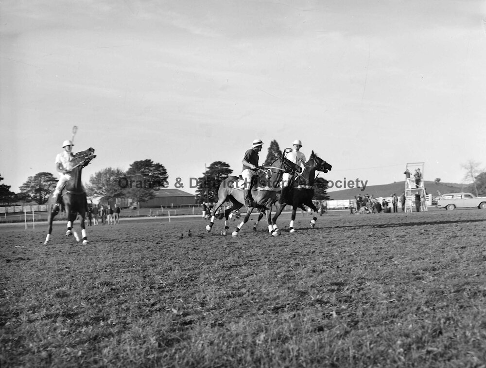 Polocrosse carnival