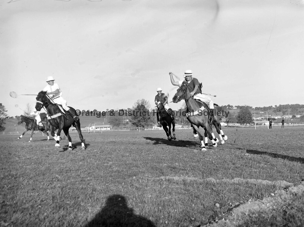 Polocrosse carnival