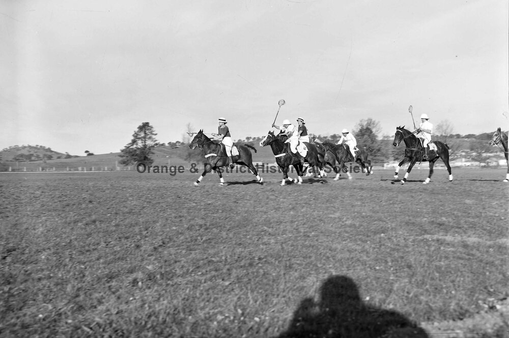 Polocrosse carnival