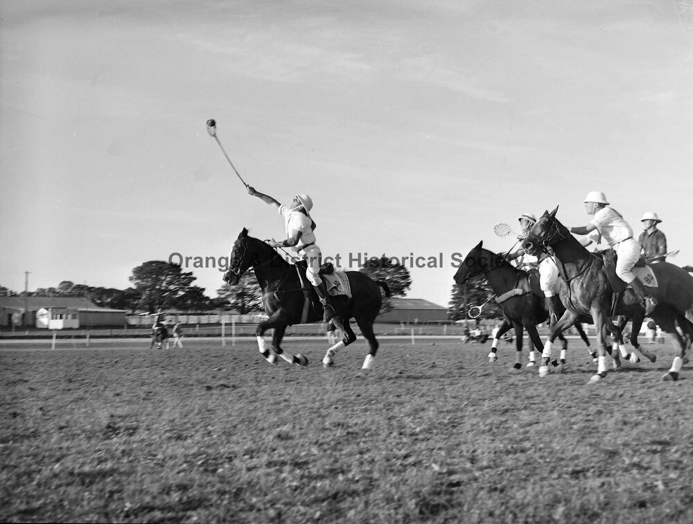 Polocrosse carnival