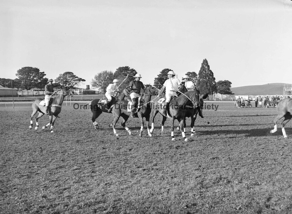 Polocrosse carnival
