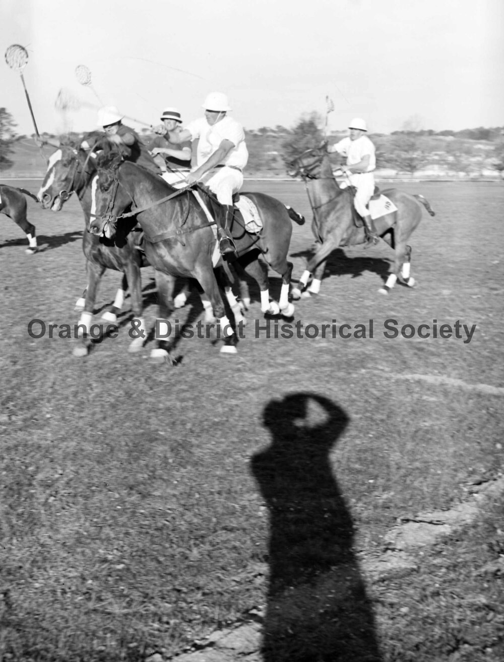 Polocrosse carnival