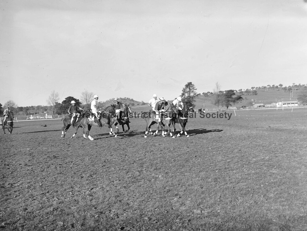 Polocrosse carnival