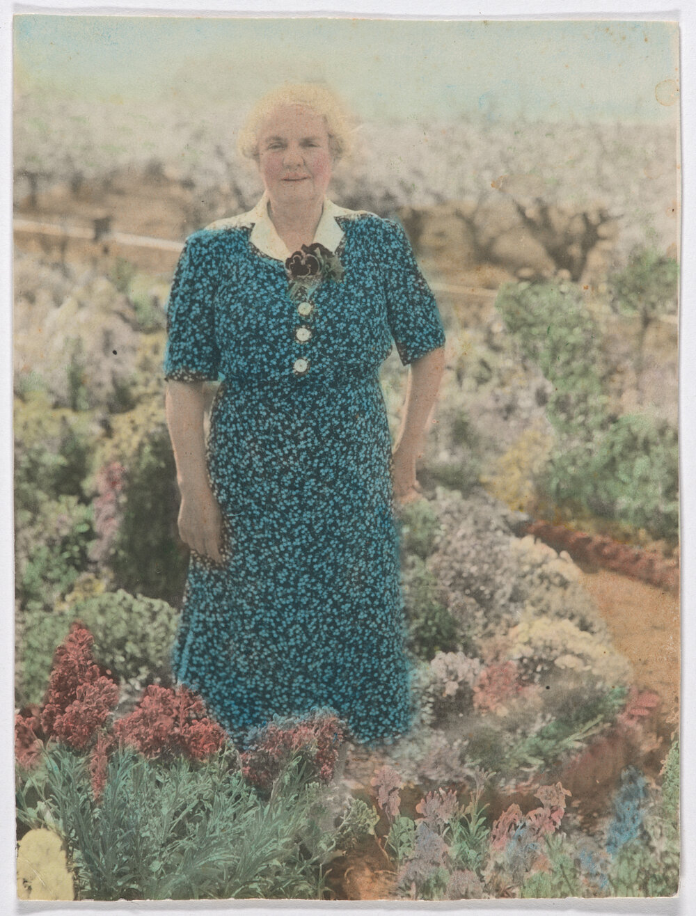 Clare Hawke