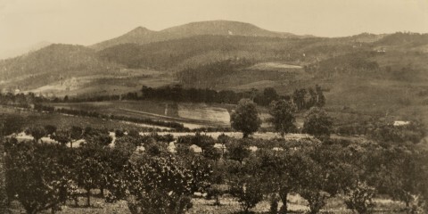 Mount Canobolas