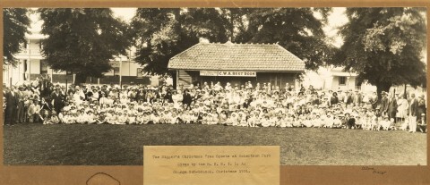 The Digger's Christmas Tree Sports at Robertson Park
