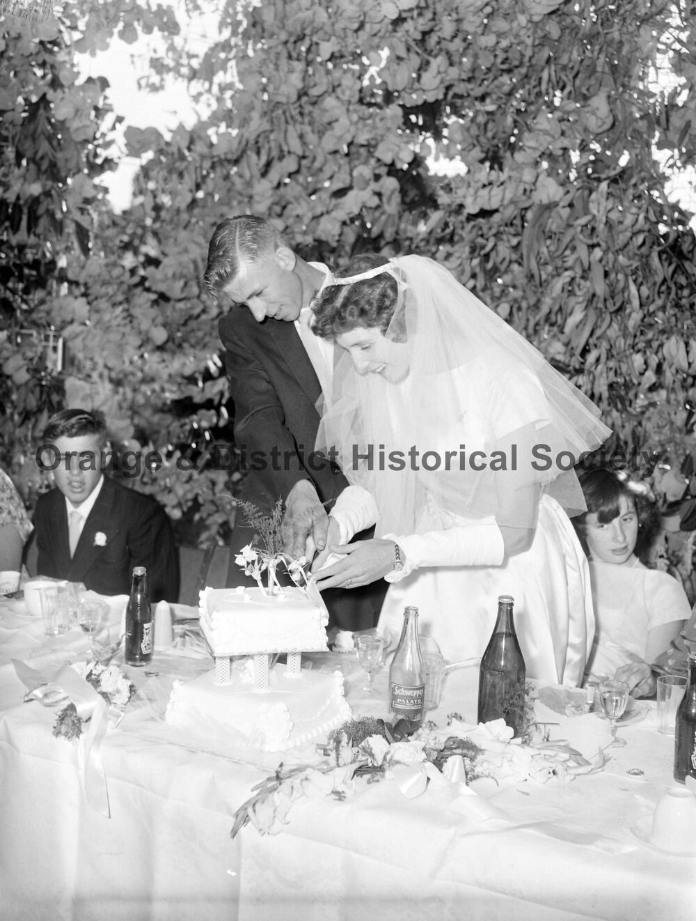 Adams Watts wedding