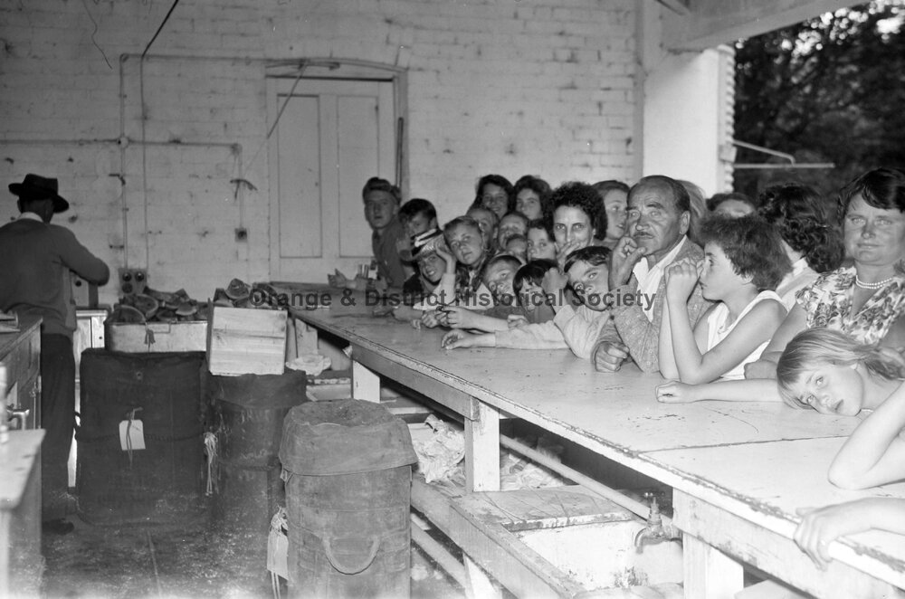 Butchers' picnic