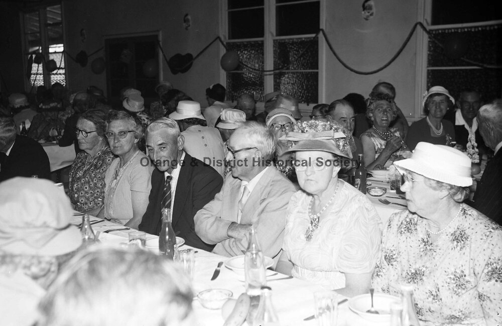 Pensioners' Christmas dinner at Email factory