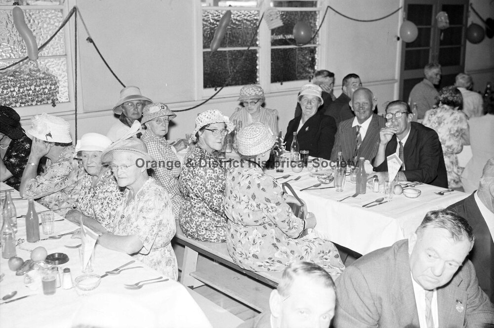 Pensioners' Christmas dinner at Email factory