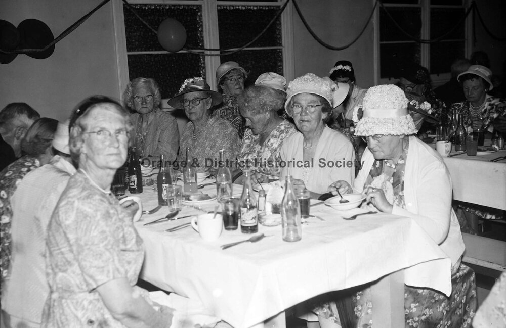 Pensioners' Christmas dinner at Email factory