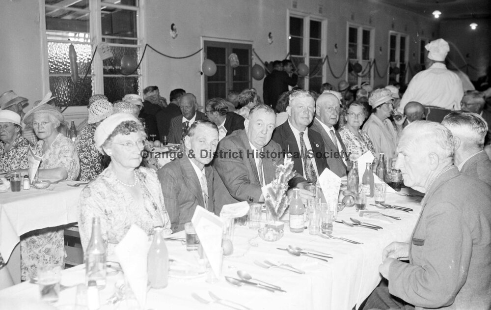 Pensioners' Christmas dinner at Email factory