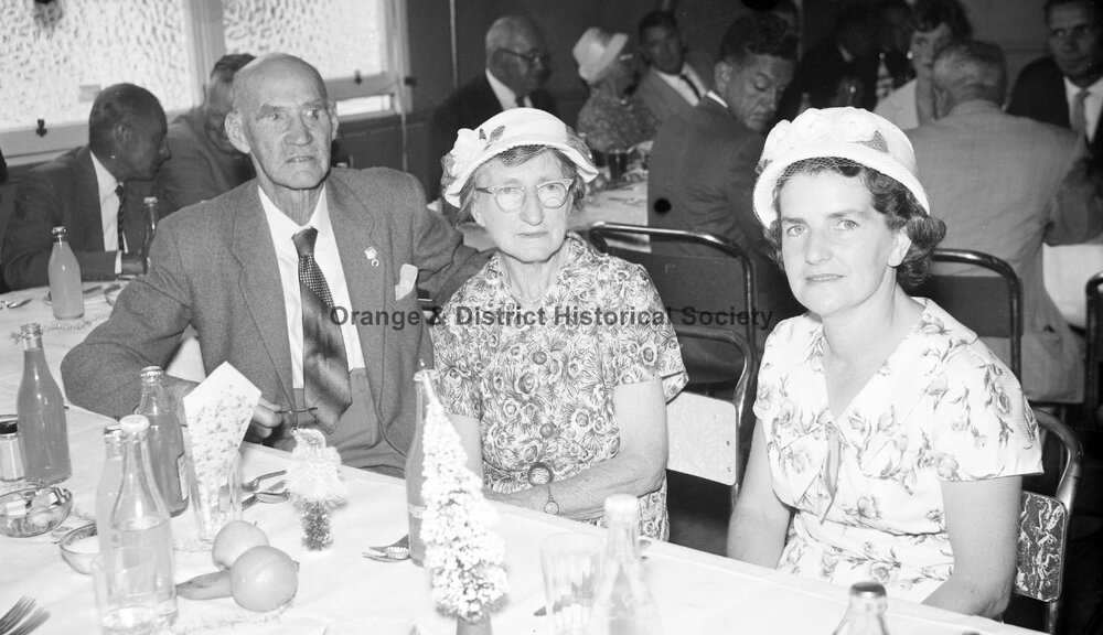Pensioners' Christmas dinner at Email factory