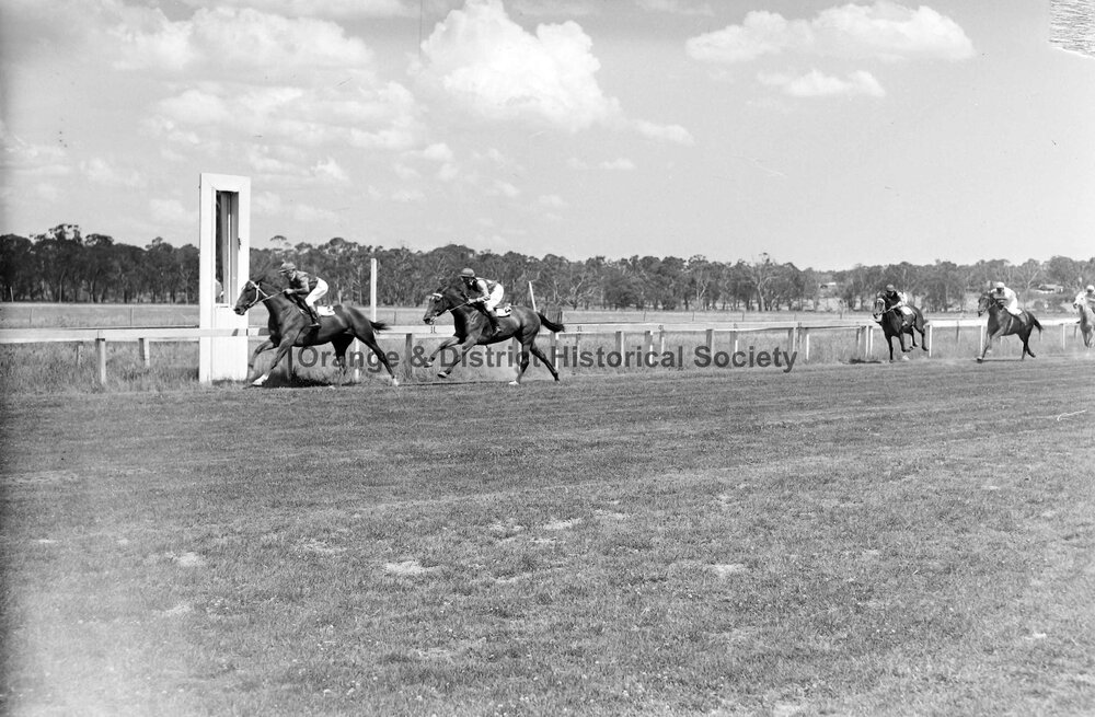 New Year's Day race meeting