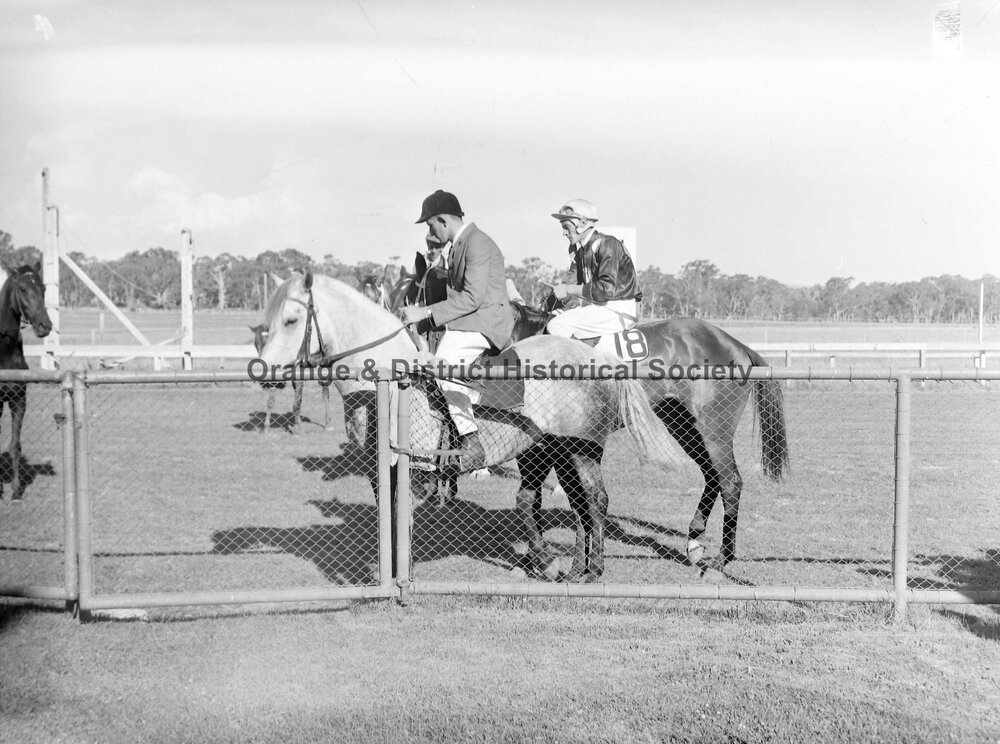 New Year's Day race meeting