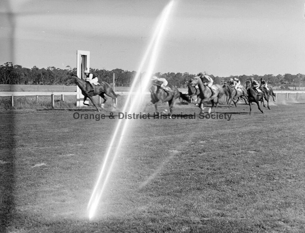 New Year's Day race meeting
