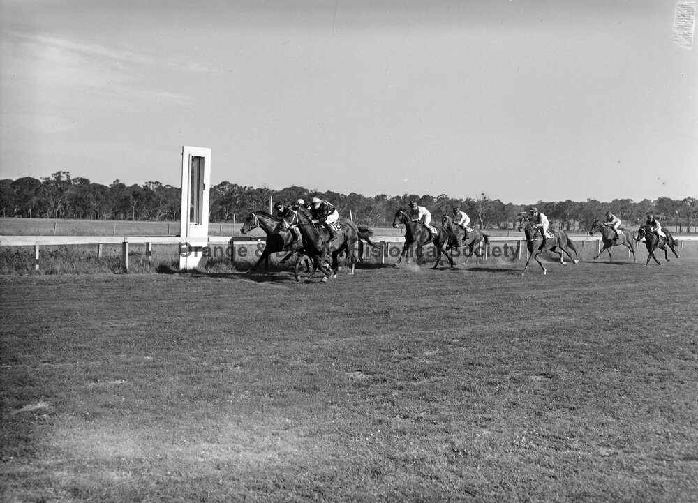 New Year's Day race meeting