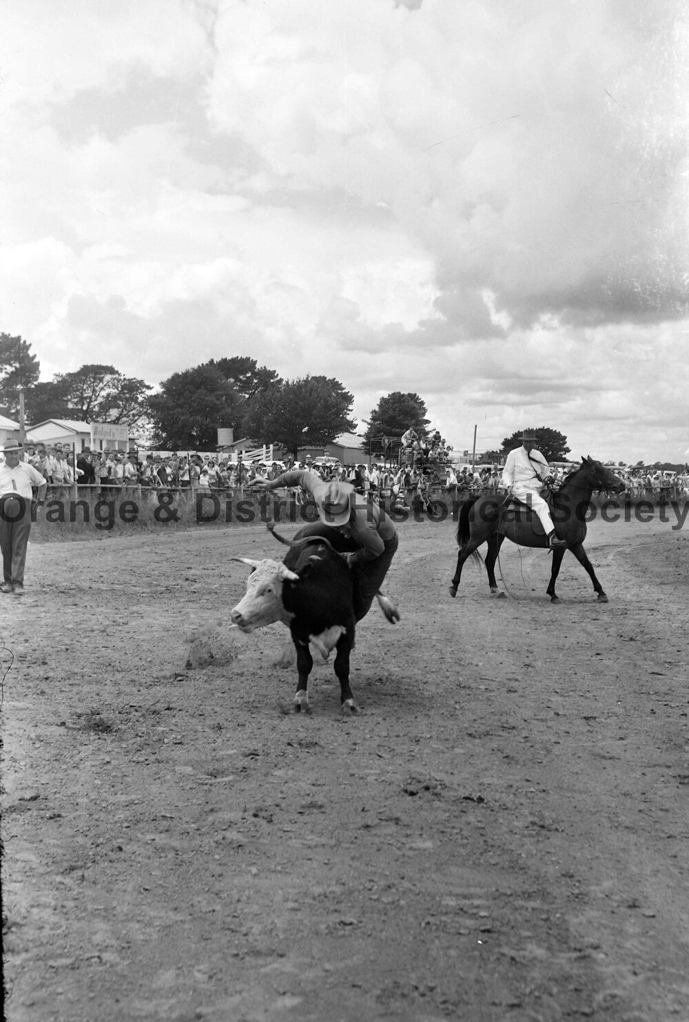 Bushman's Carnival