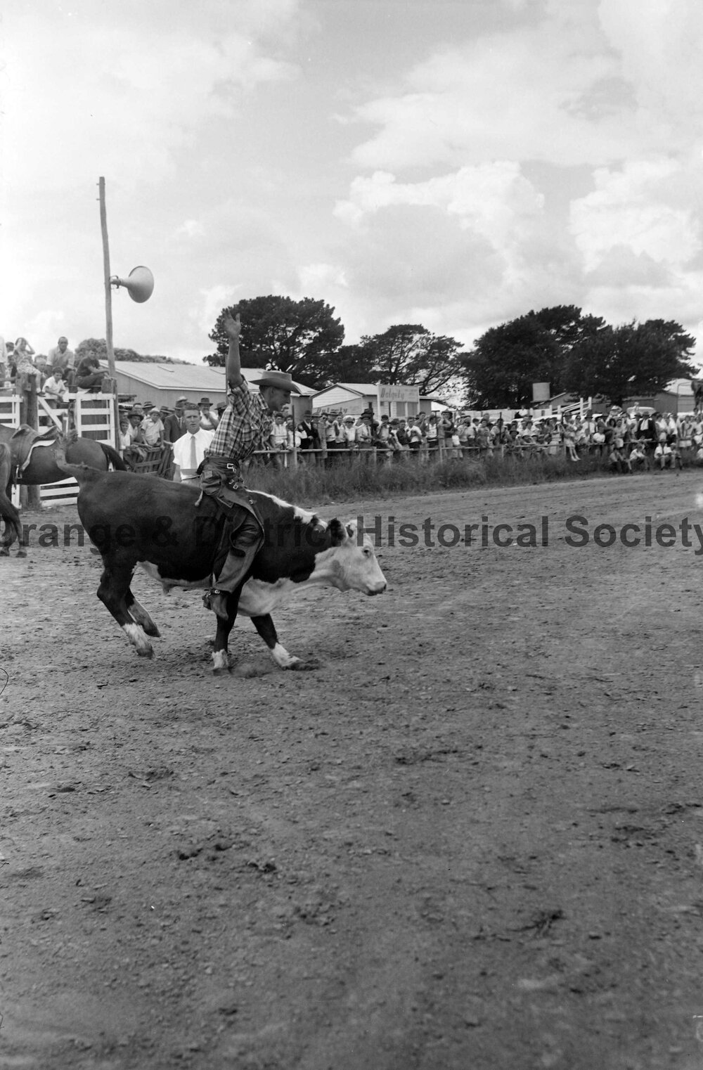 Bushman's Carnival