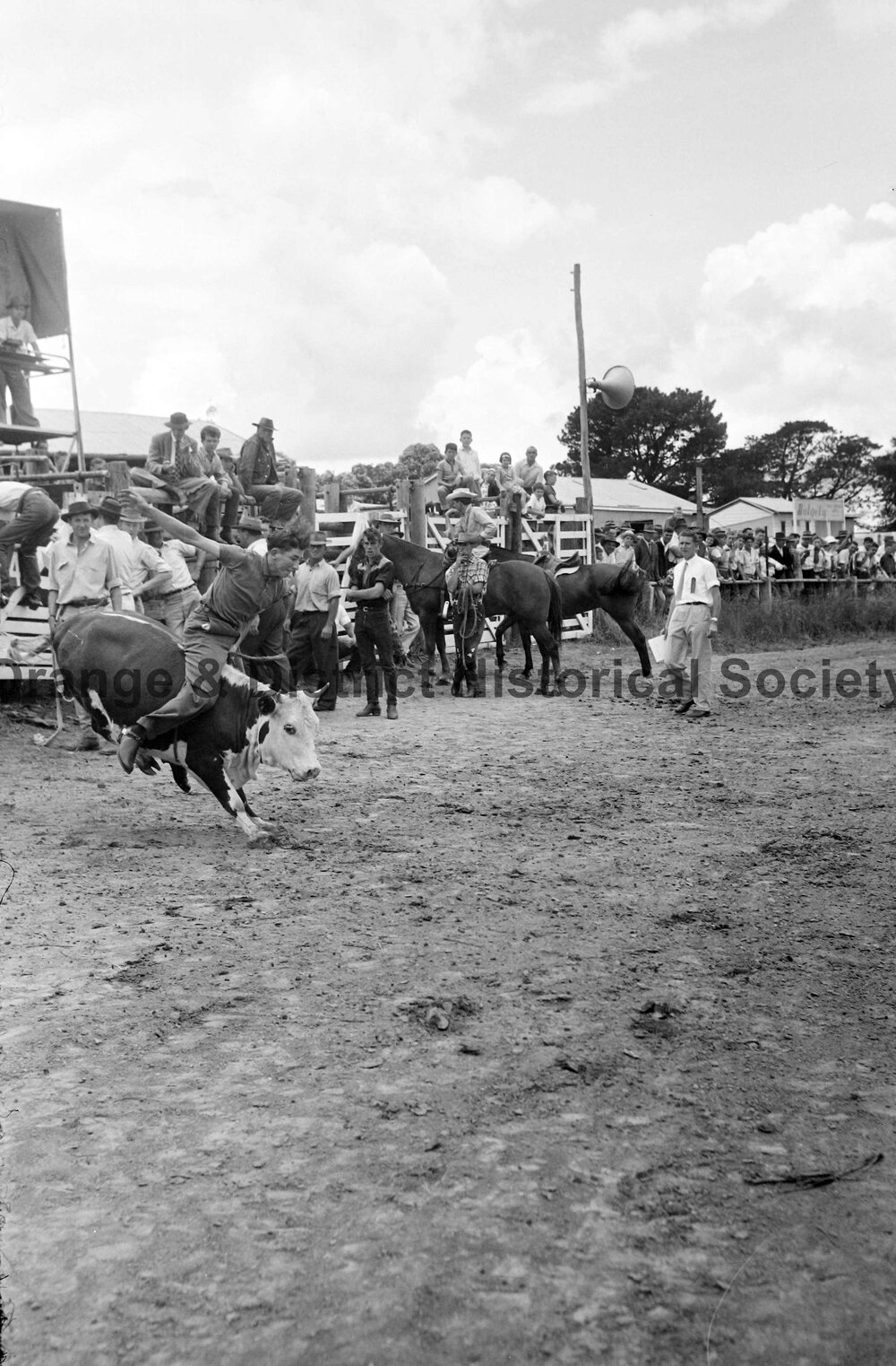 Bushman's Carnival