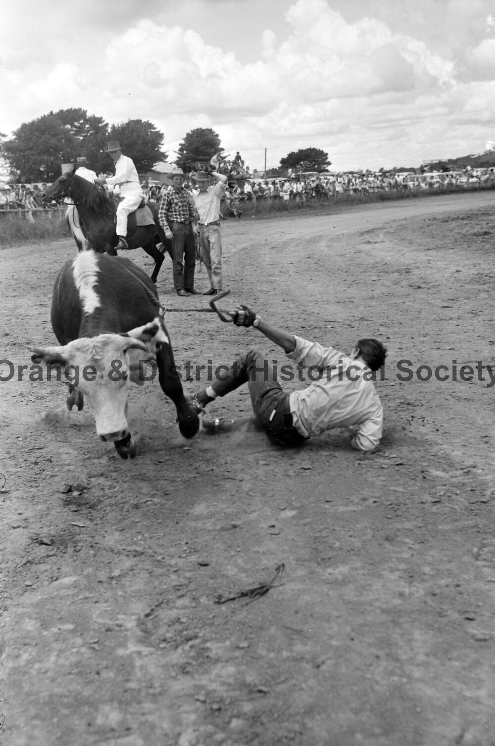 Bushman's Carnival