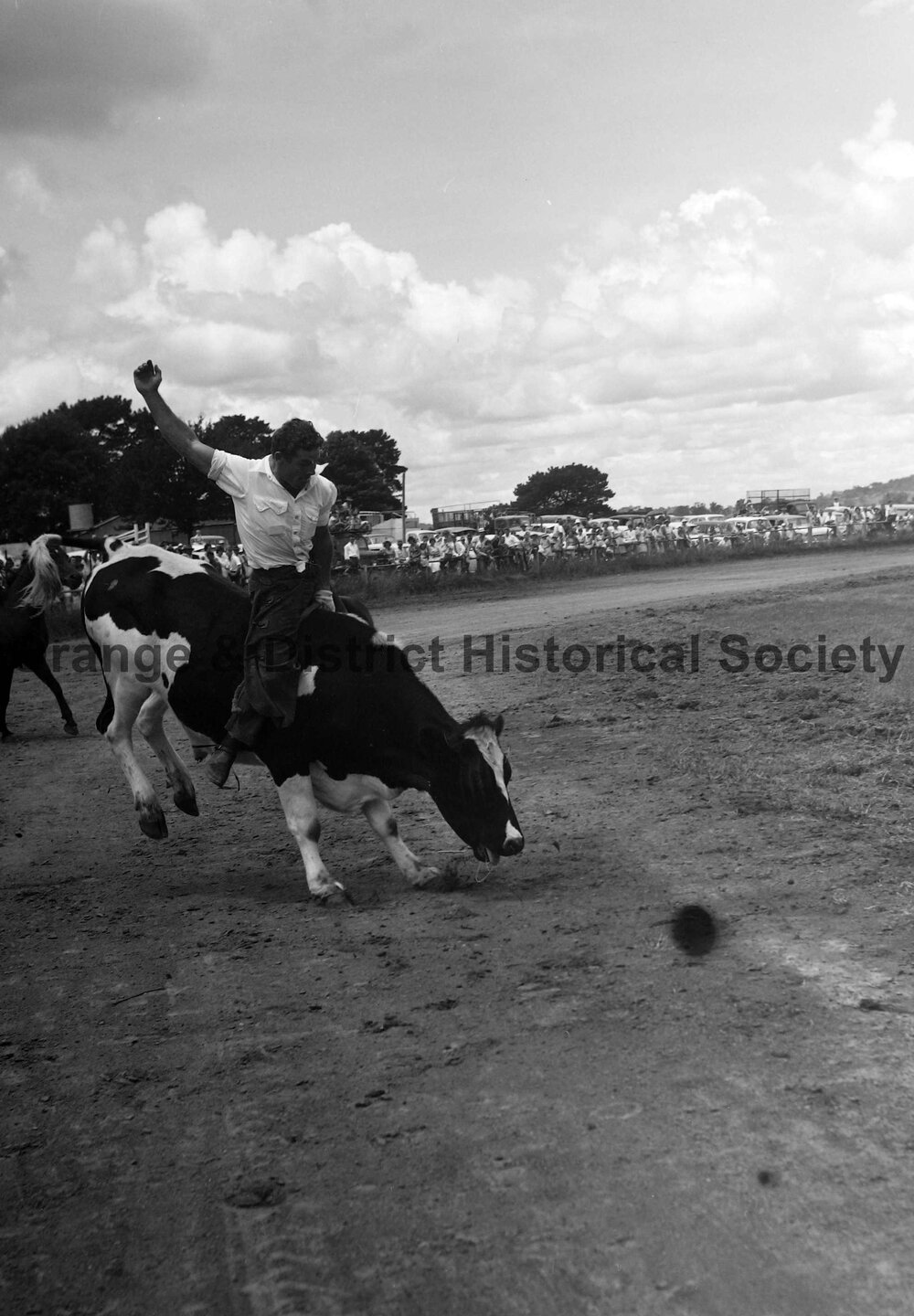 Bushman's Carnival