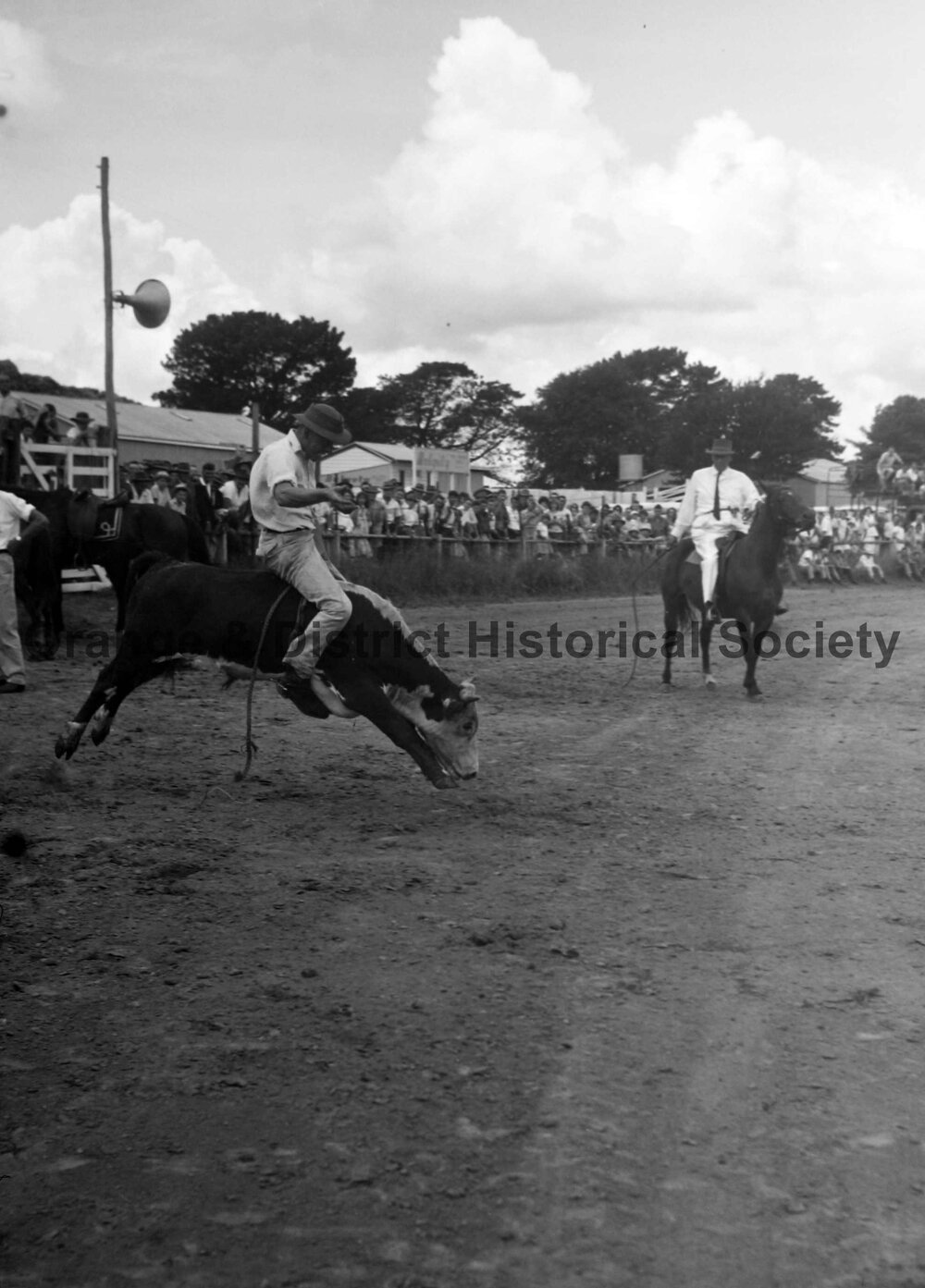 Bushman's Carnival
