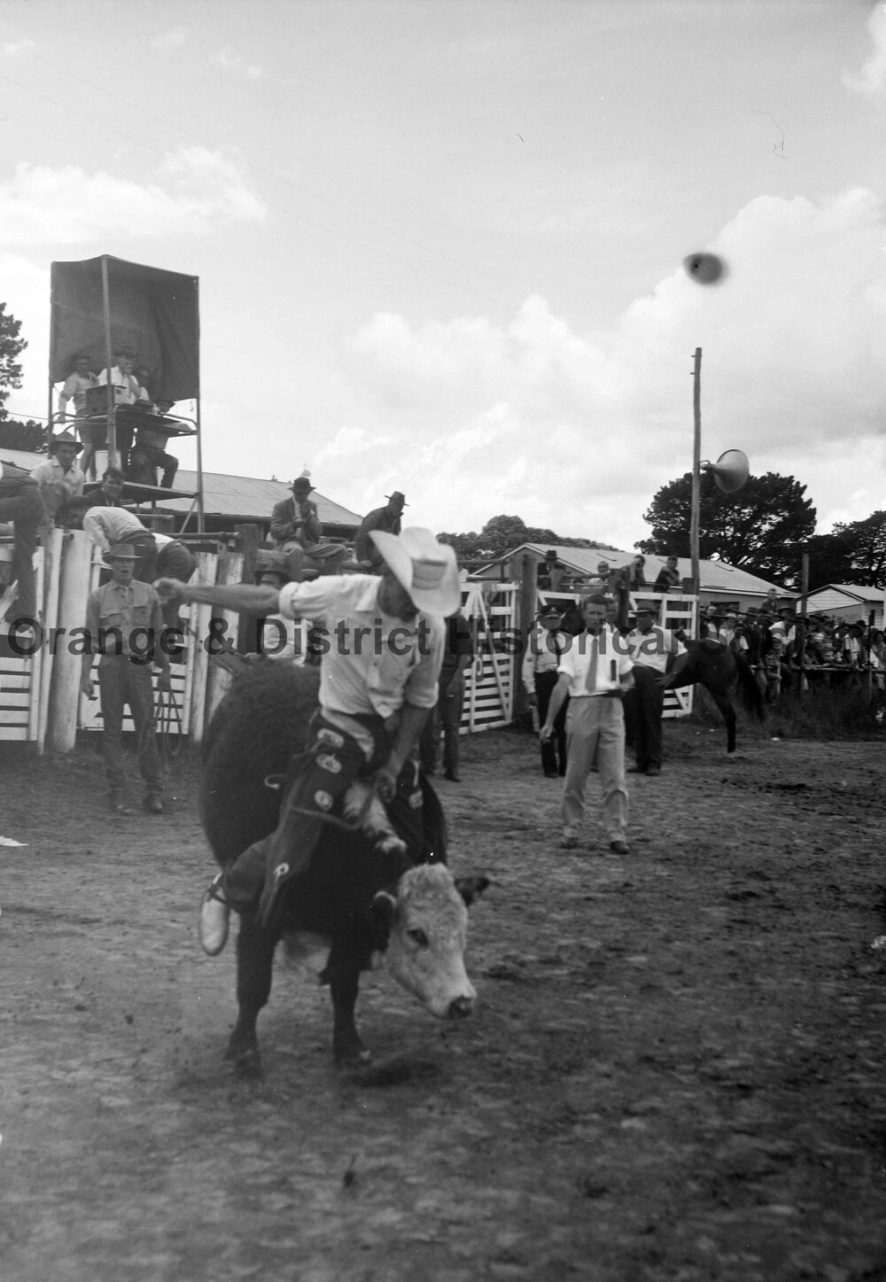Bushman's Carnival