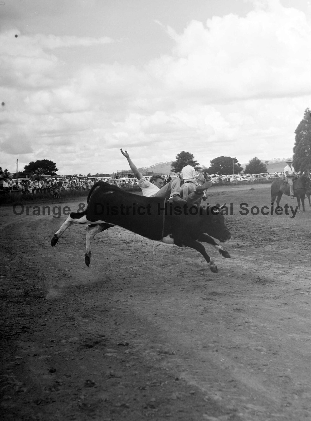Bushman's Carnival