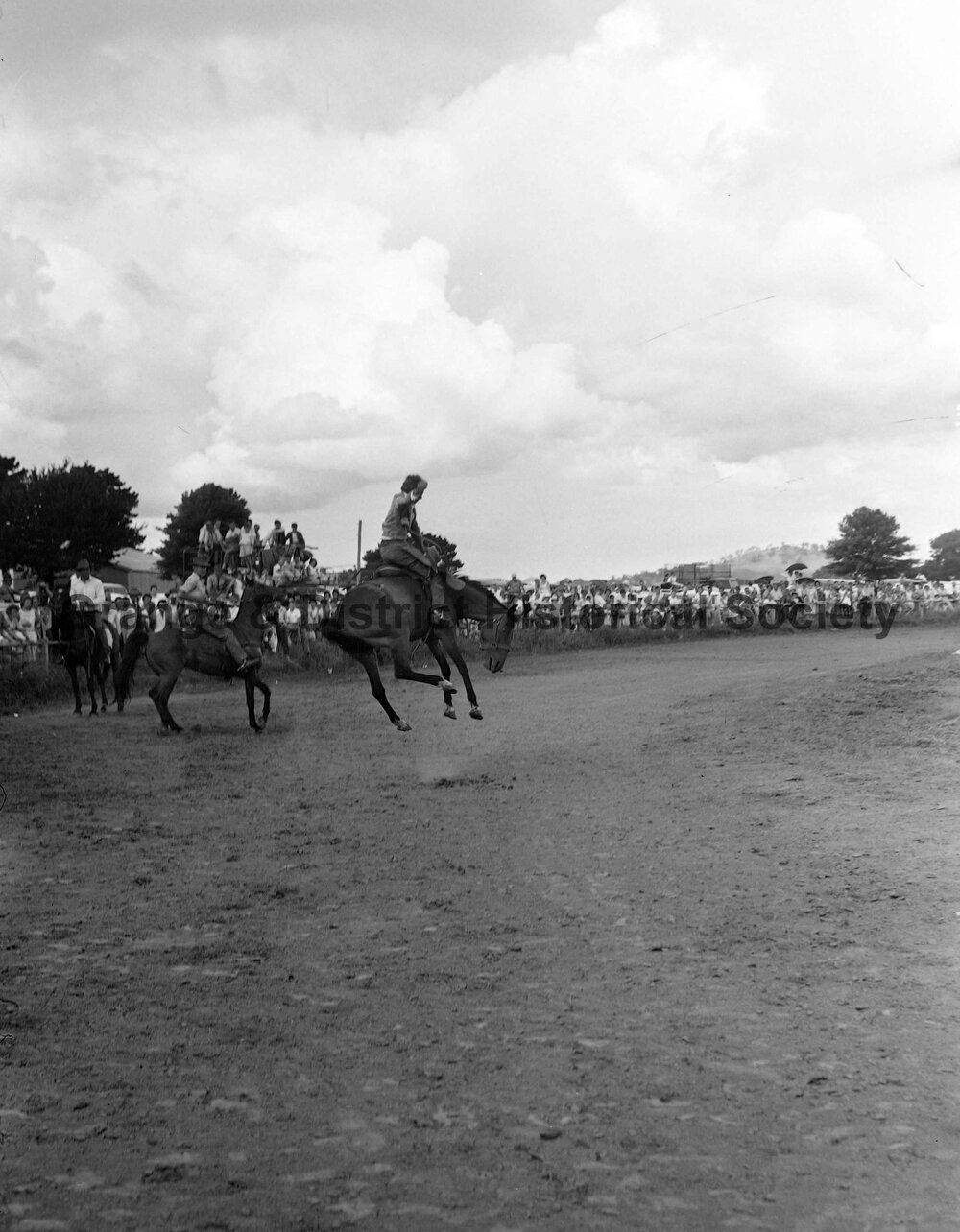 Bushman's Carnival