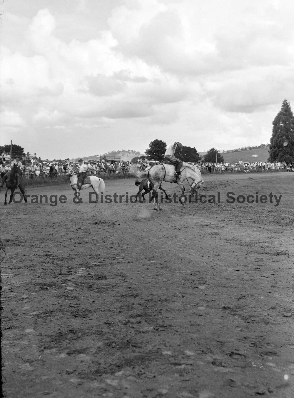 Bushman's Carnival