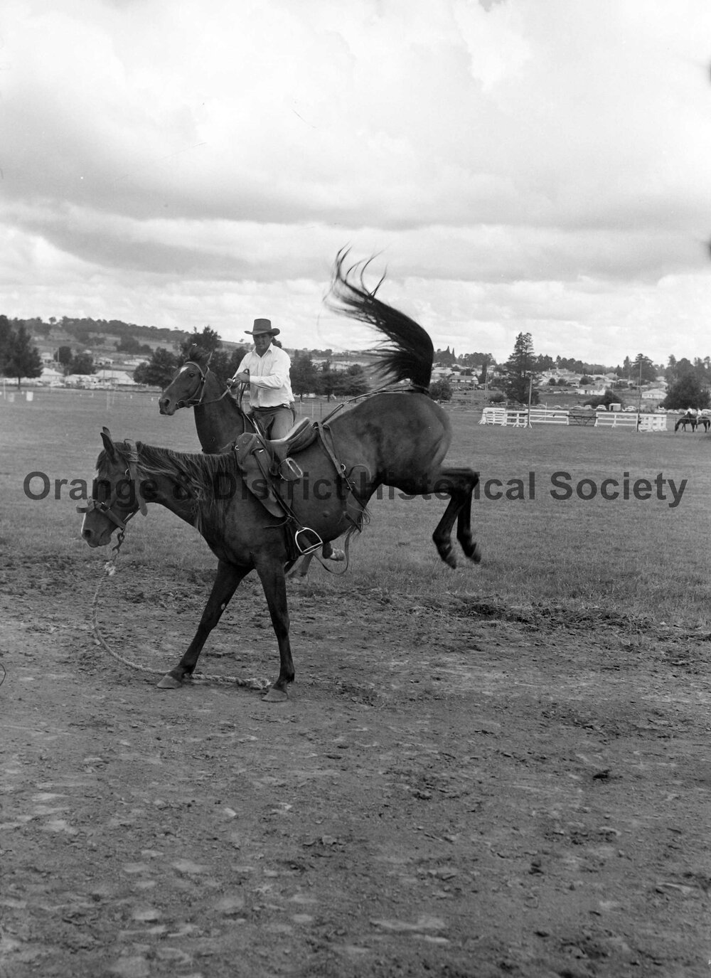 Bushman's Carnival