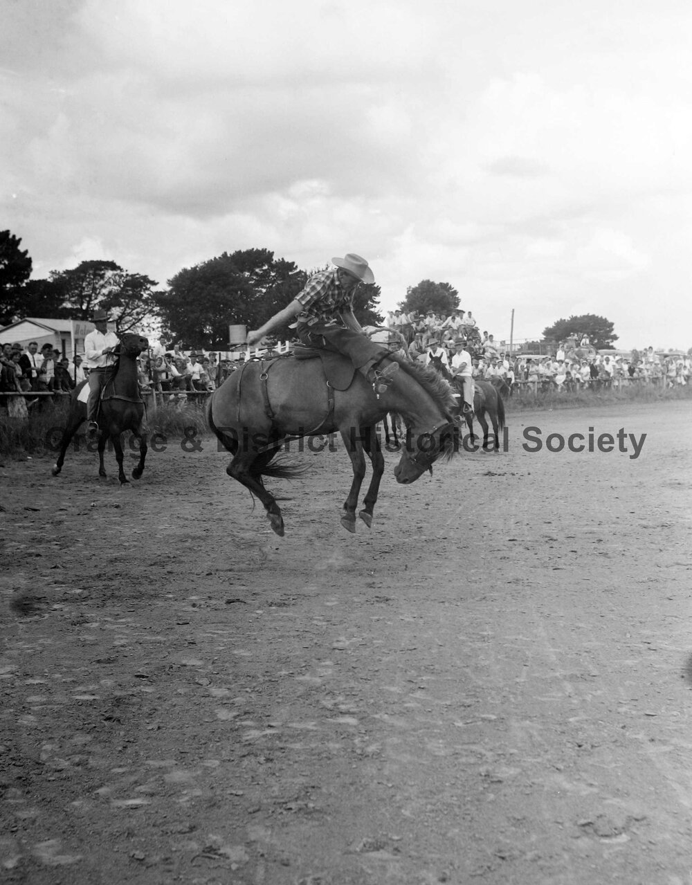 Bushman's Carnival