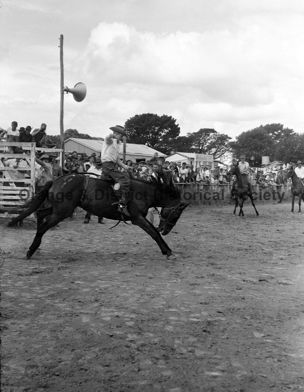 Bushman's Carnival