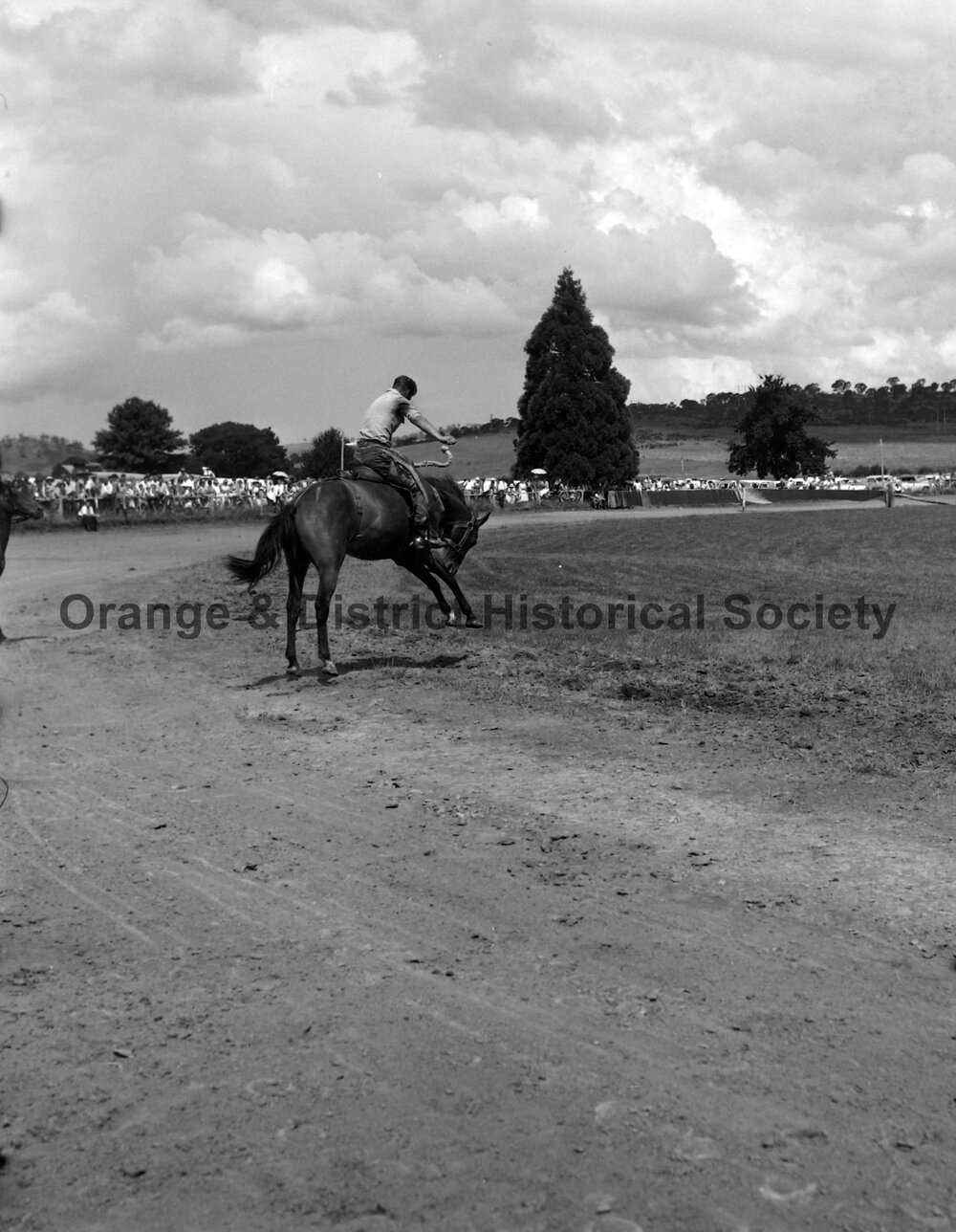 Bushman's Carnival