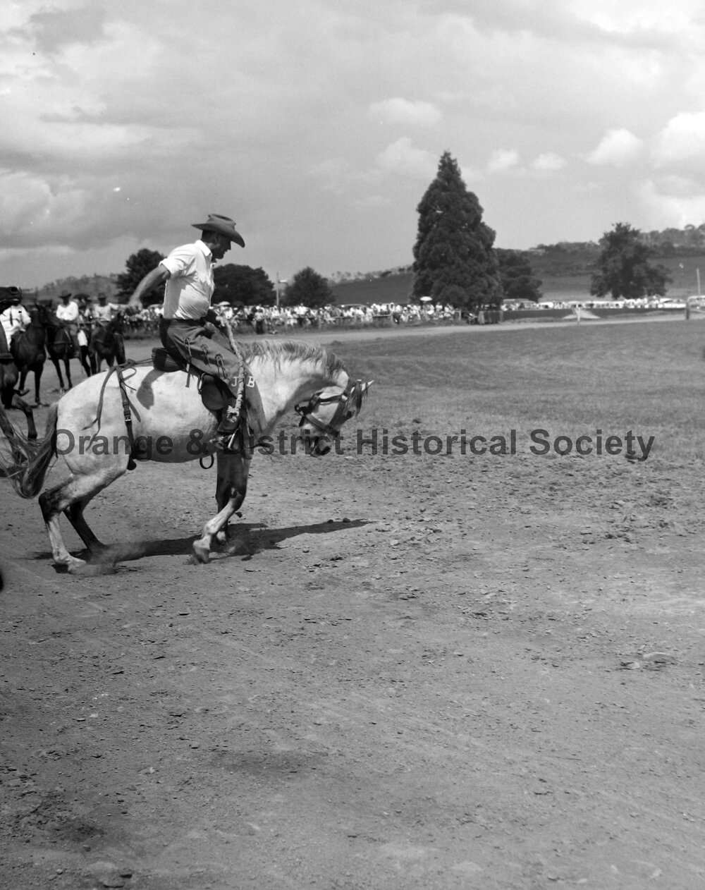 Bushman's Carnival