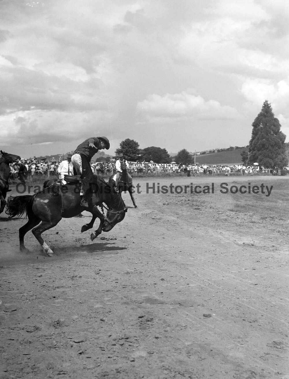Bushman's Carnival