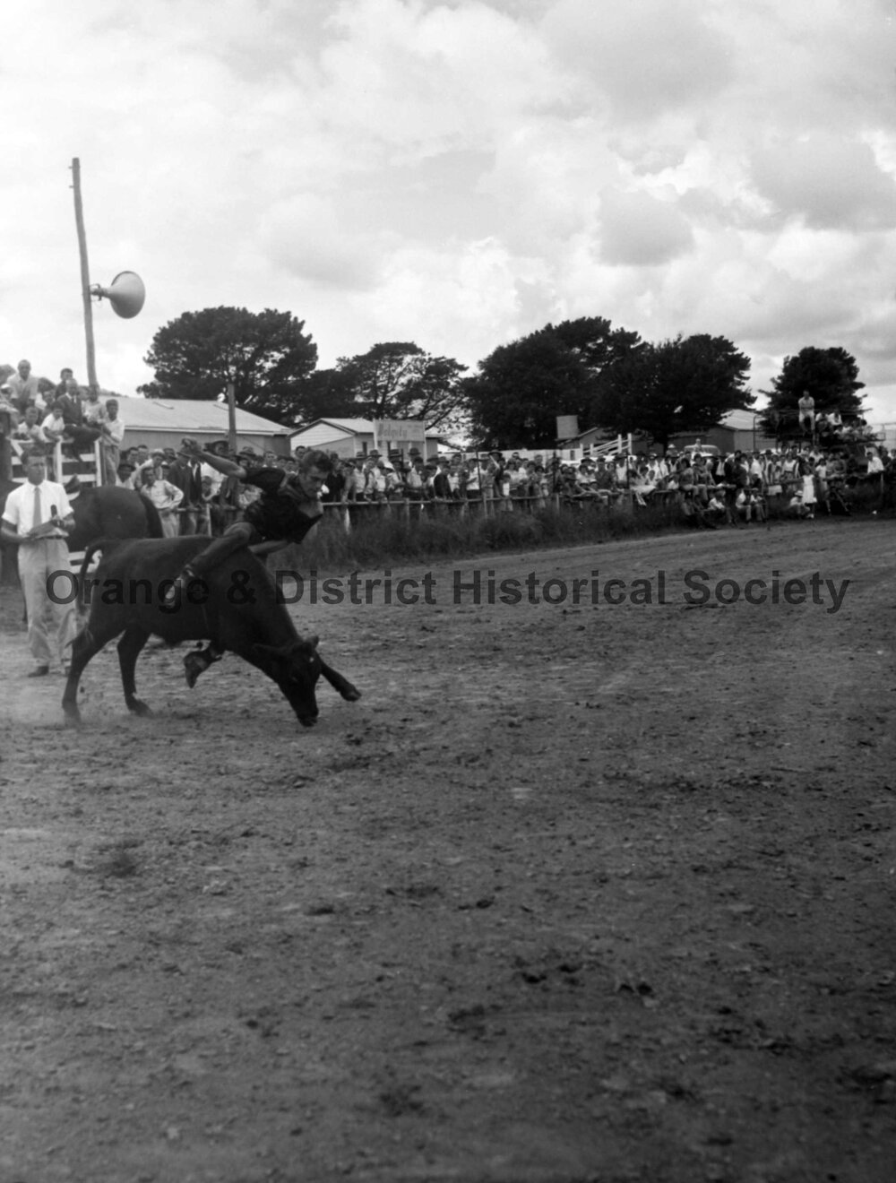 Bushman's Carnival