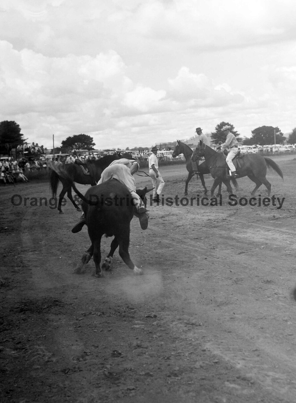 Bushman's Carnival