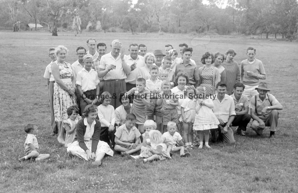 Electricity Commission picnic