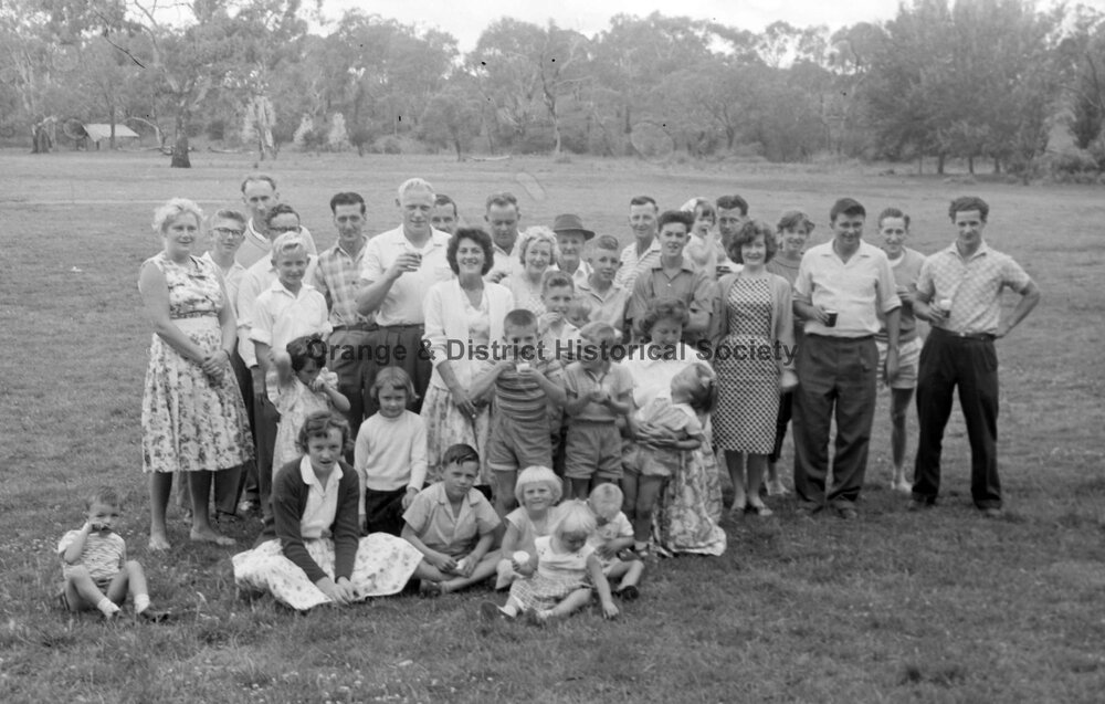 Electricity Commission picnic