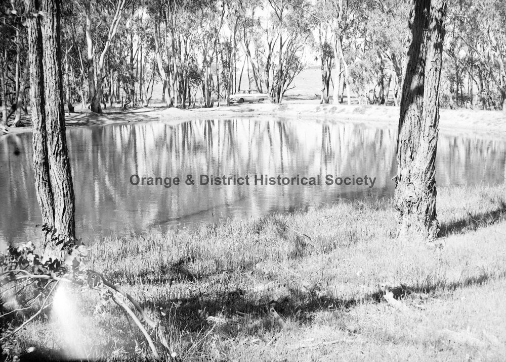 Mr Sharpe's property