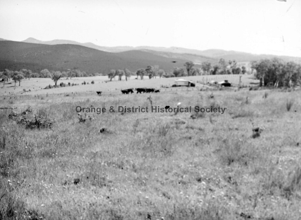 Mr Sharpe's property