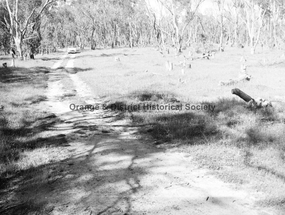 Mr Sharpe's property