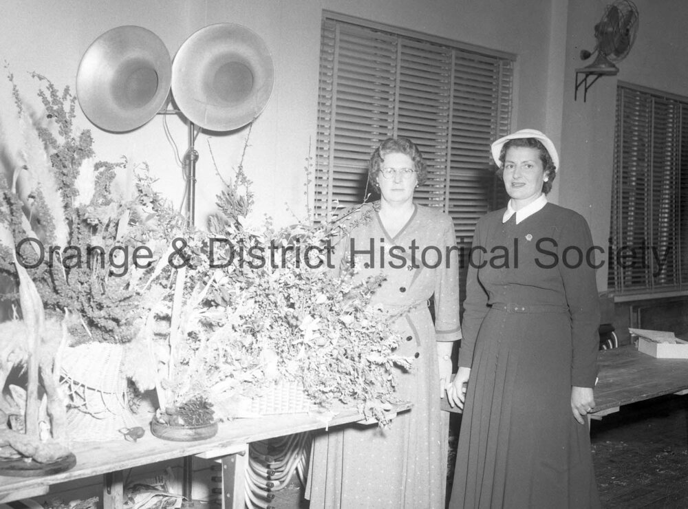 CWA fete | Central West Libraries