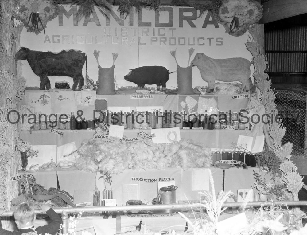 Manildra Show