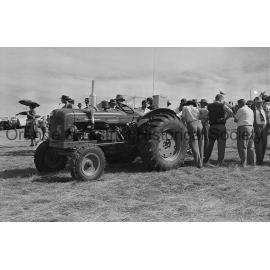 Field Days